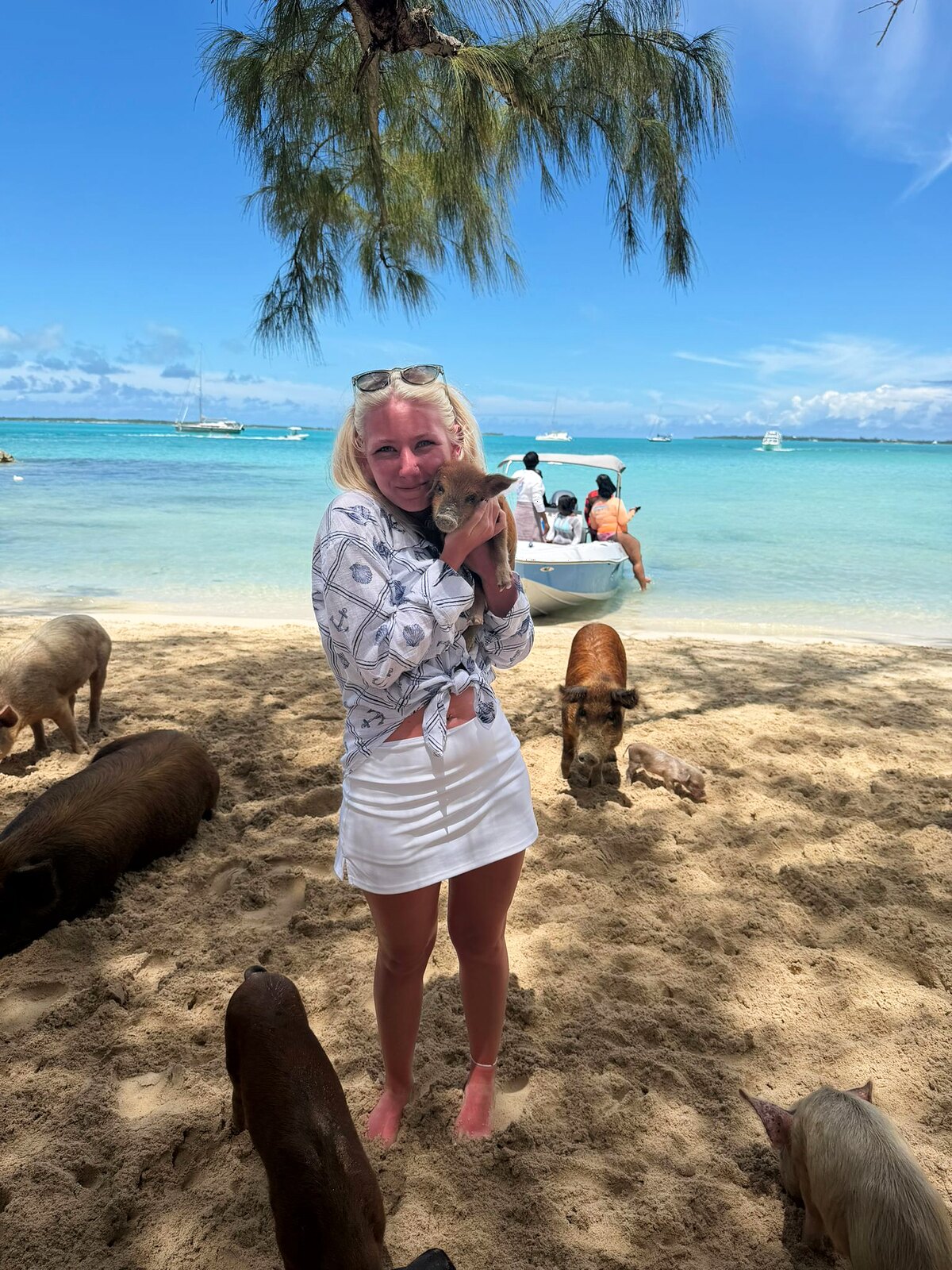 A guest crouching in shallow water beside two friendly swimming pigs near Eleuthera.