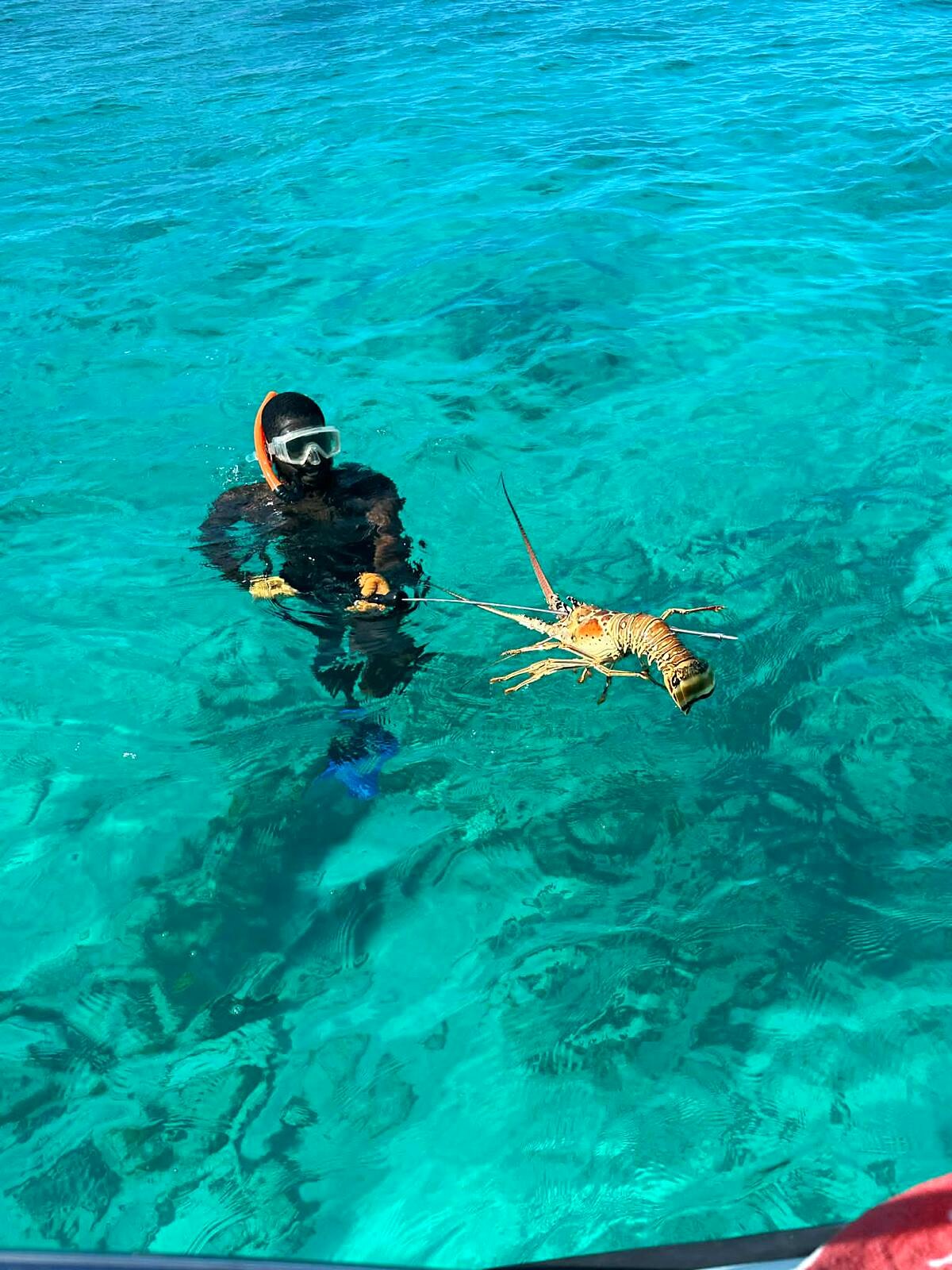 A free-diver surfacing with a speared catch on a Bahamas spearfishing trip near Eleuthera.