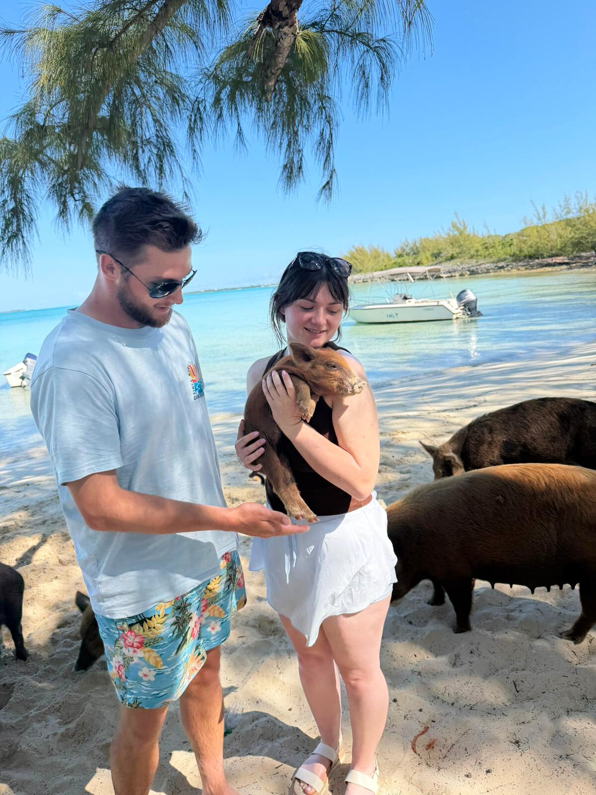 Island Adventure — Small boat · half day